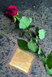 Ein goldener Stein mit Inschrift ist in einer Stra&szlig;e eingepasst worden. Dar&uuml;ber liegt eine rote Rose.